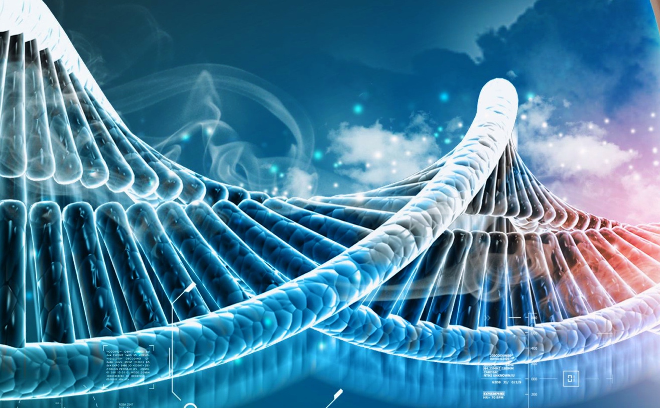 DNA strand