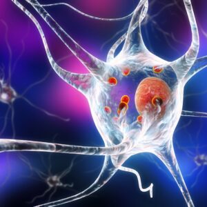 illustrated neuron