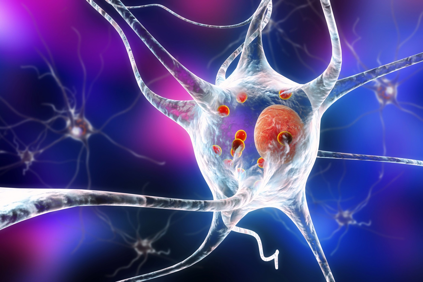 illustrated neuron